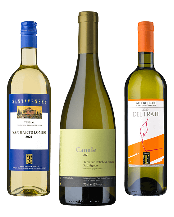 White and rosé wines