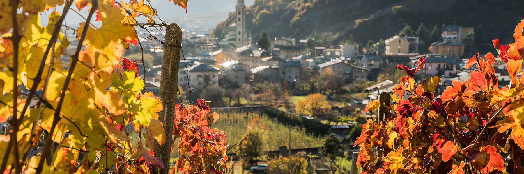Valtellina Bio Le Traverse