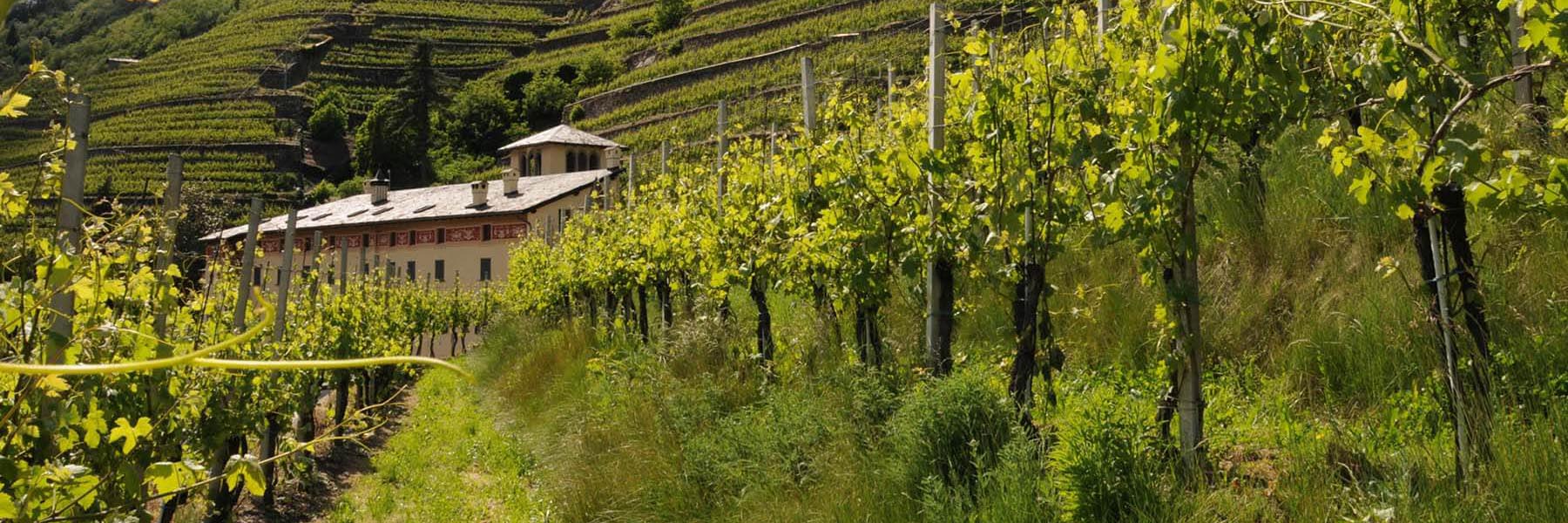 Schaumweine Des Veltlin VSQ