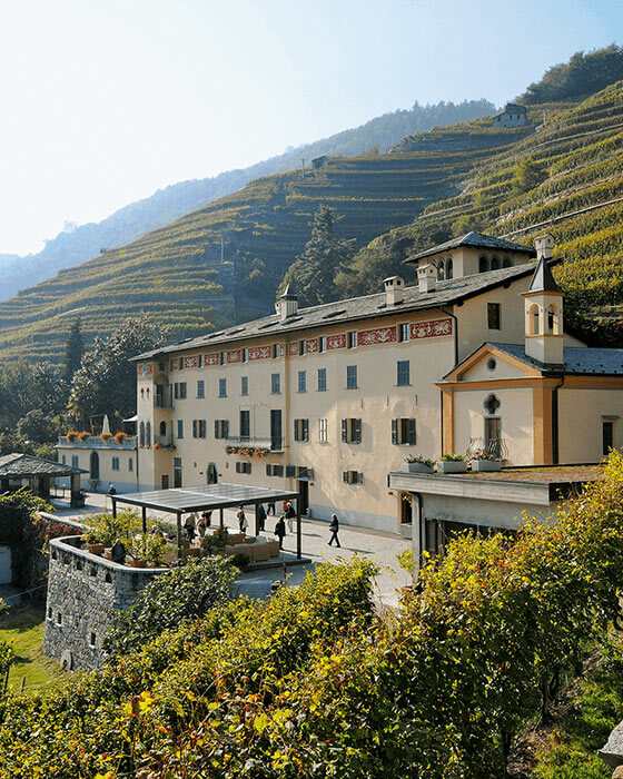 Weine und Produkte des Weingut La Gatta - Casa Vinicola Triacca