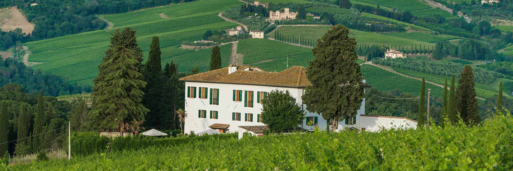 La Madonnina and its experiences Immerse yourself and experience the wonders of Chianti Classico