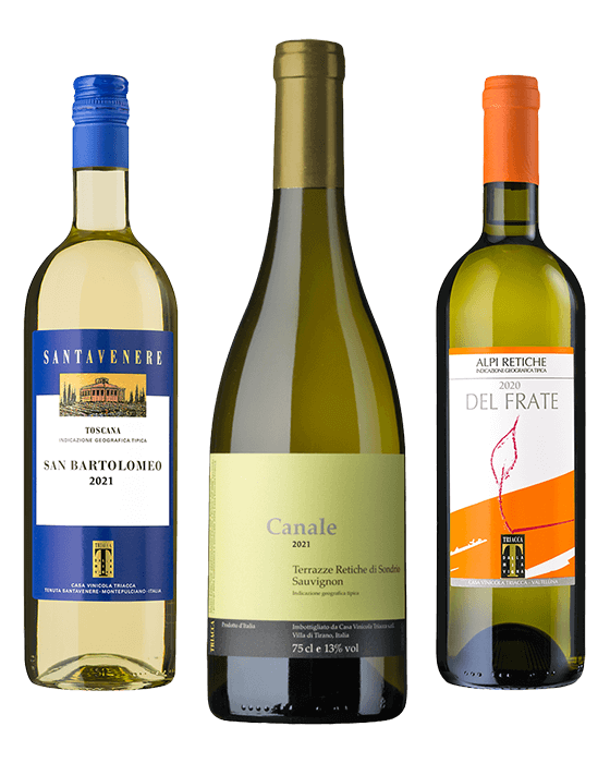 White and rosé wines