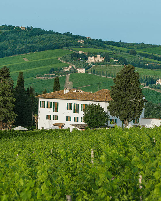 Wines and other products from La Madonnina Estate - Casa Vinicola Triacca